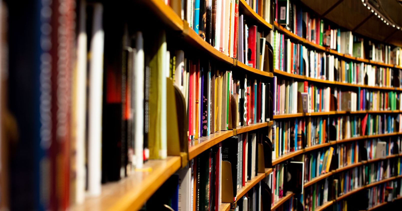 Rows of scholarly books in a research library